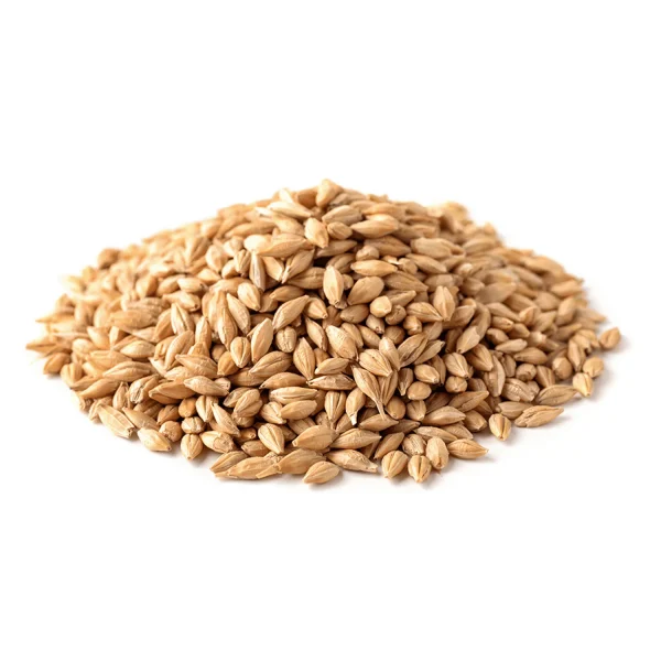 Melanoidin Malt