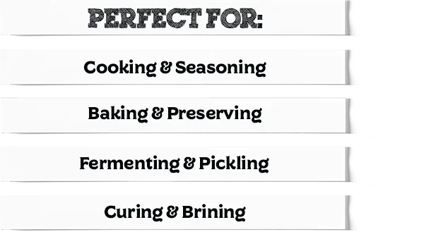 Best Sea Salt For Fermentation