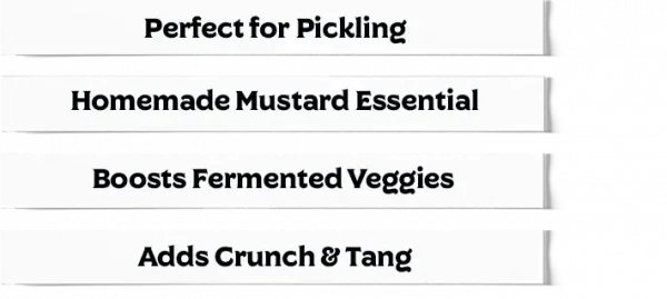 Mustard Seeds Near Me