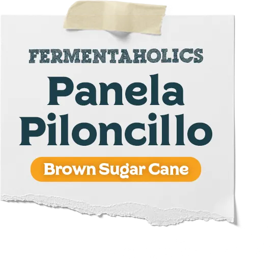 Panela Piloncillo