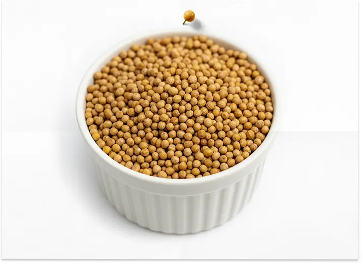 Mustard Tree Seeds