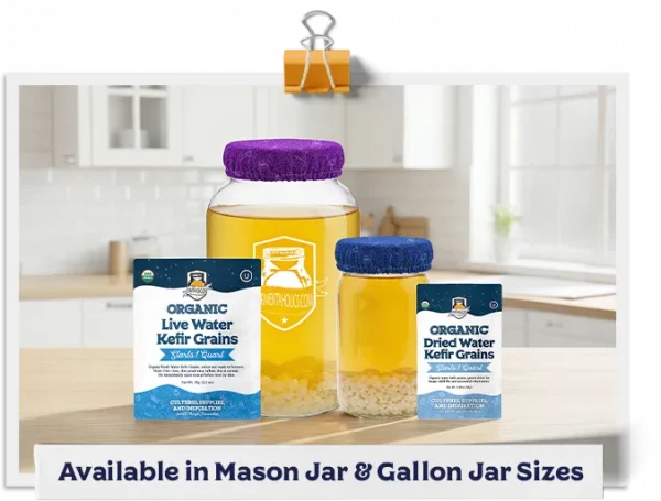 Breathable Gallon Jar Cover