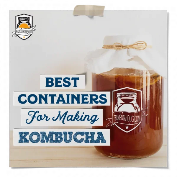 Best Containers For Making Kombucha