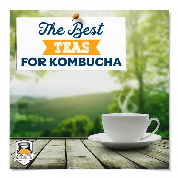 Best Teas For Kombucha