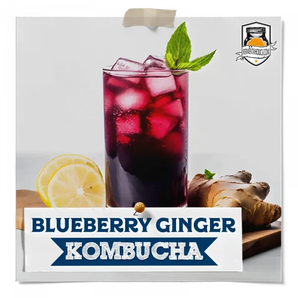 Blueberry Ginger Kombucha
