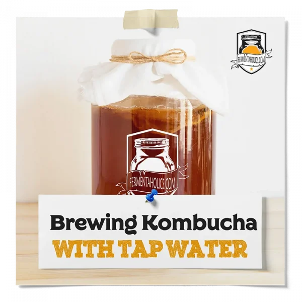 Brewing Kombucha With Tap Water