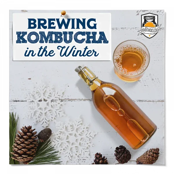 Brewing Kombucha In The Winter