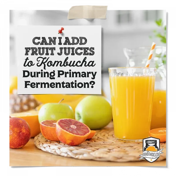 Can I Add Fruit Juices To Kombucha
