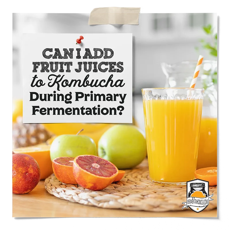 Can I Add Fruit Juices to Kombucha