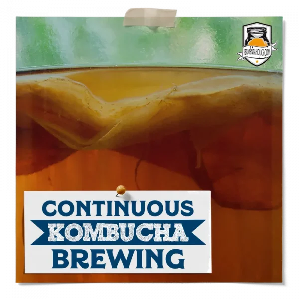 Continuous Kombucha Brewing