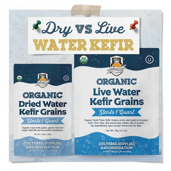 Dry Vs Live Water Kefir