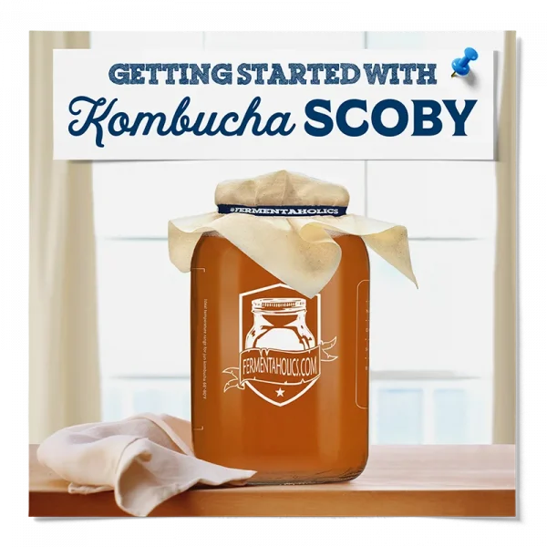 Fermentaholics Kombucha Scoby All You Need To Know