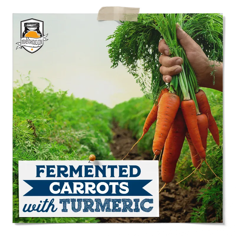 Fermented Carrots with Turmeric