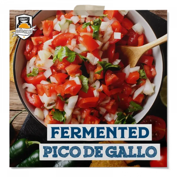 Fermented Pico De Gallo