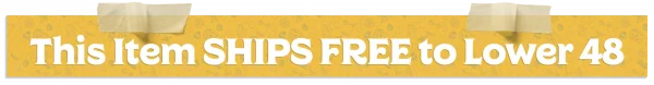 Banner with the text "This Item Ships Free to the Lower 48."