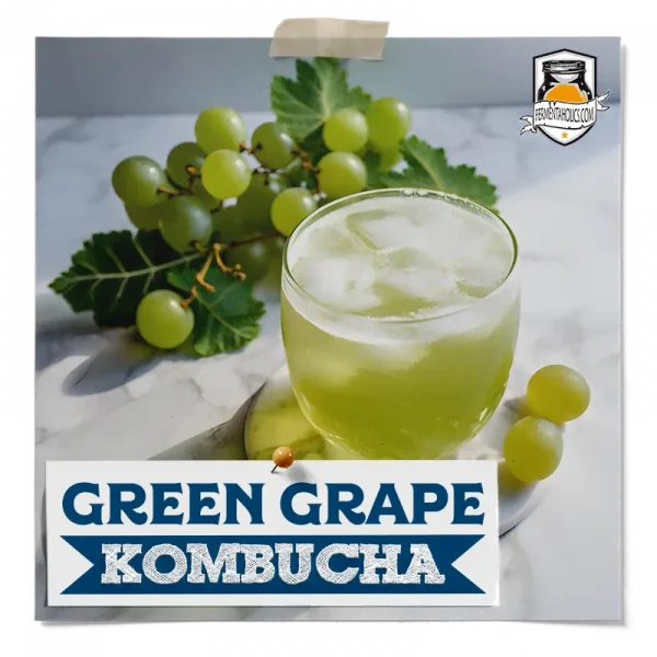 Green Grape Kombucha Recipe