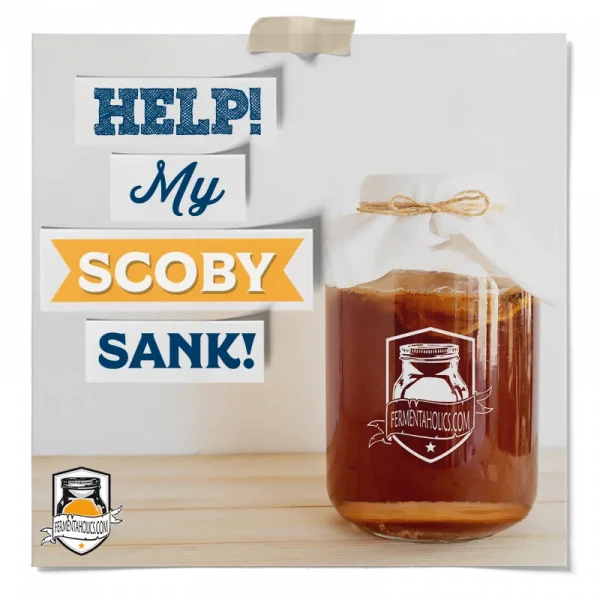 Help My Scoby Sank