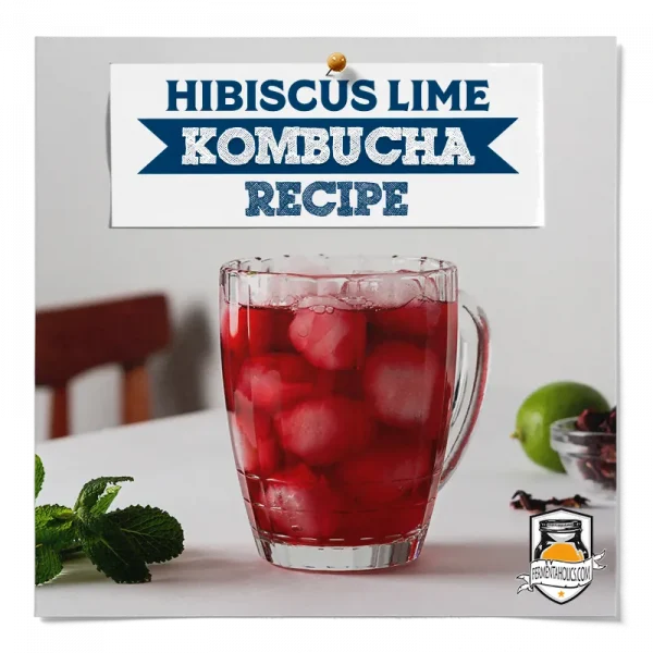 Hibiscus Lime Kombucha Recipe