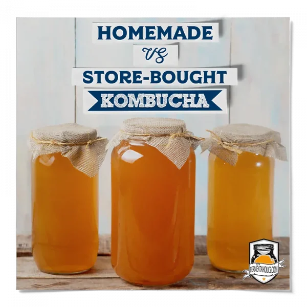 How Much Does Kombucha Cost