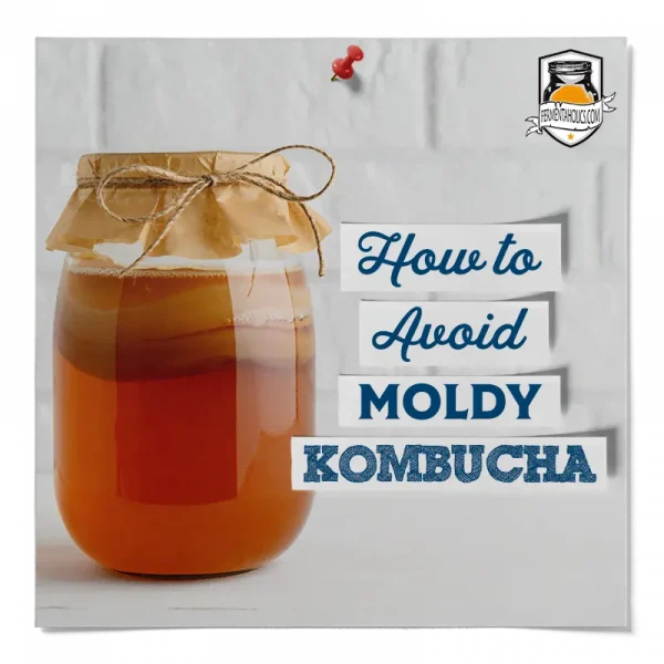 How To Avoid Mold In Kombucha