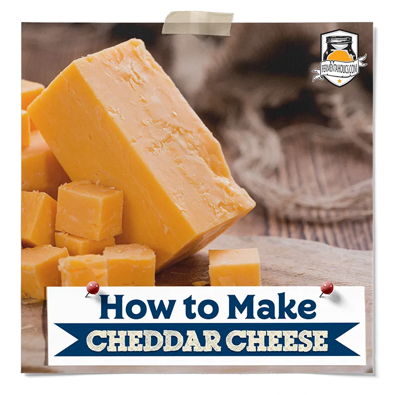 How to Make Cheddar Cheese