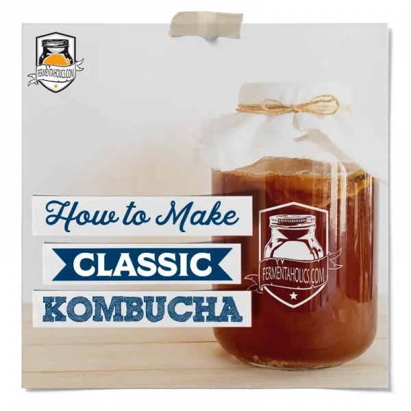 How To Make Classic Kombucha