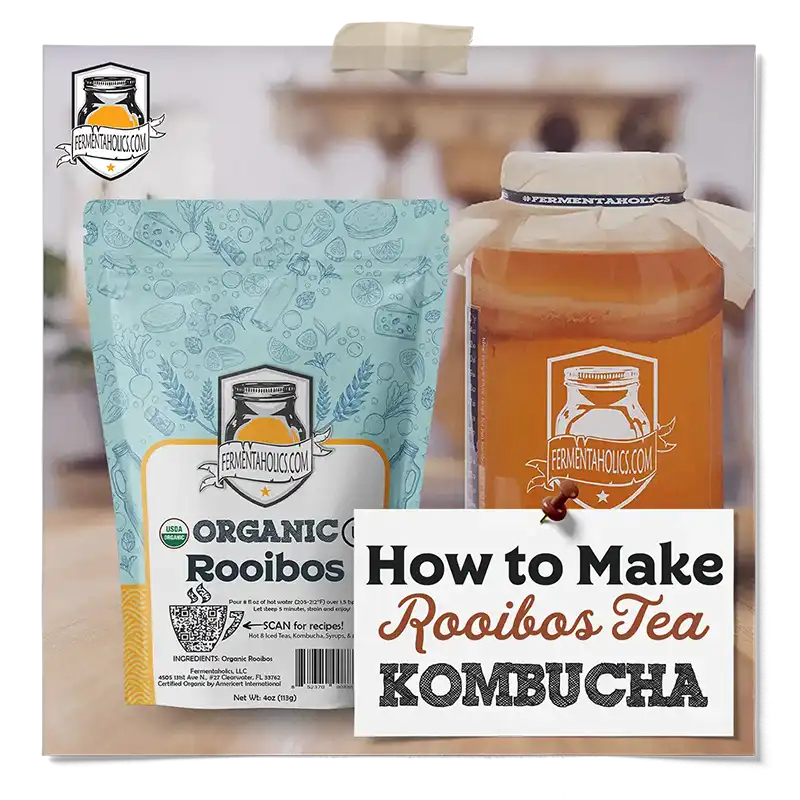 How to Make Rooibos Tea Kombucha