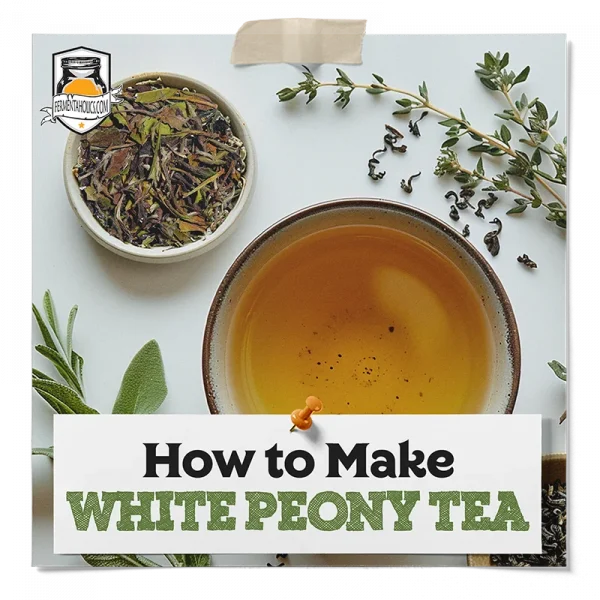 How To Make White Peony Tea