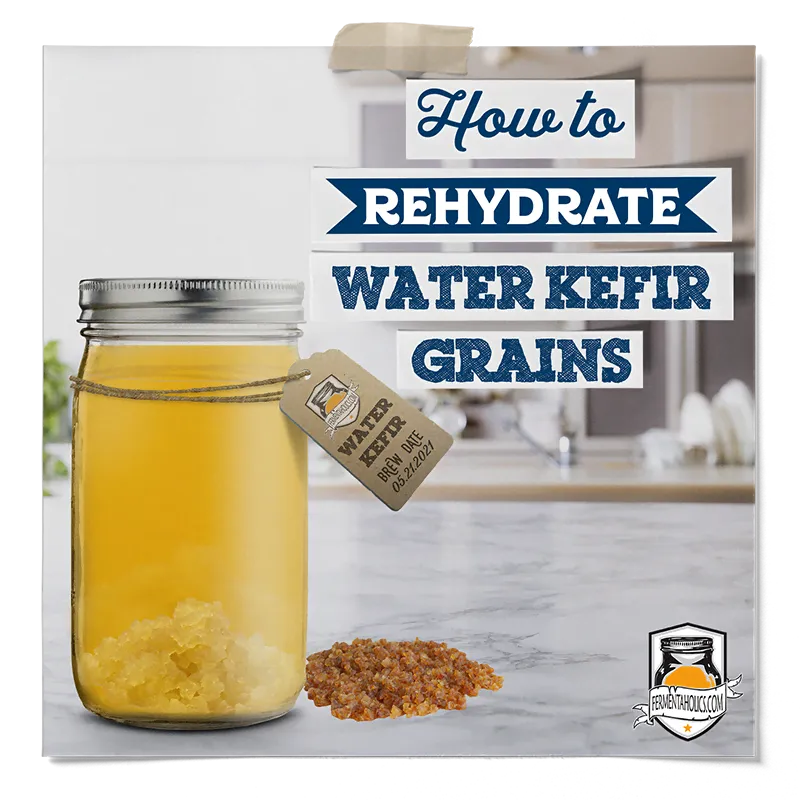 How to Rehydrate Water Kefir Grains