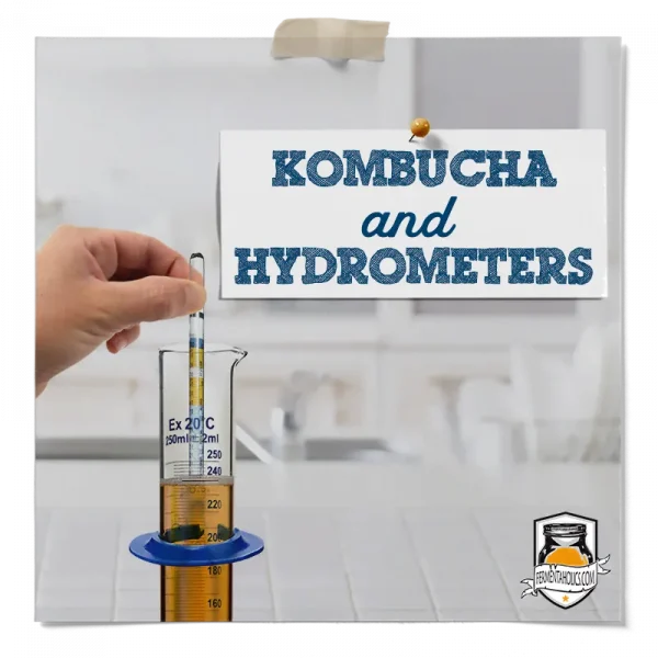 How To Use A Hydrometer For Kombucha