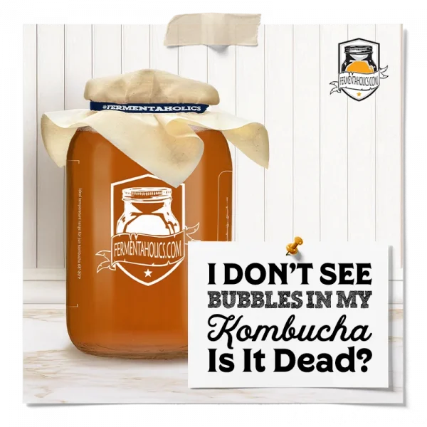 I Don&Apos;T See Bubbles In My Kombucha Is It Dead