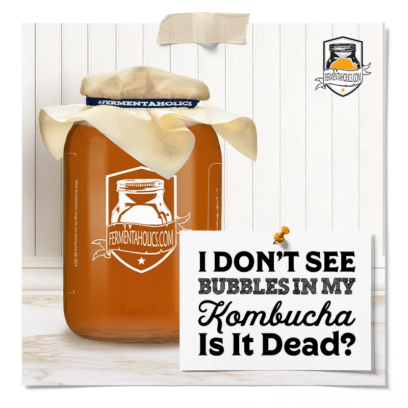 I Don't See Bubbles in My Kombucha Is It Dead