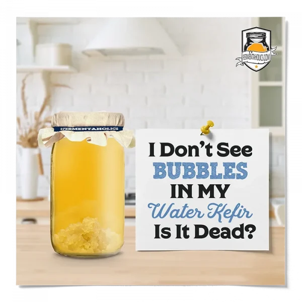 I Don&Apos;T See Bubbles In My Water Kefir Is It Dead