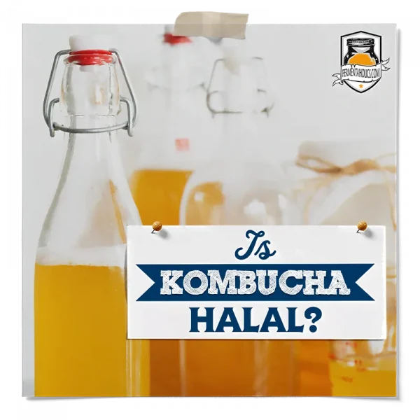 Is Kombucha Halal
