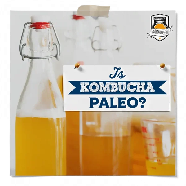 Is Kombucha Paleo
