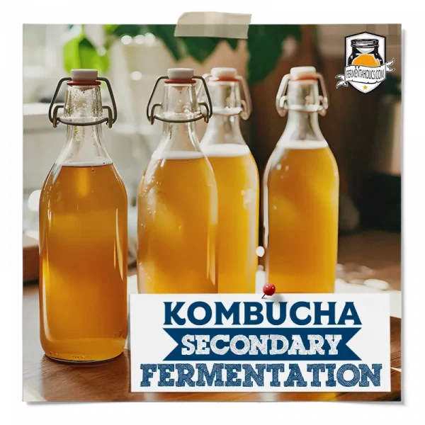 Kombucha Secondary Fermentation
