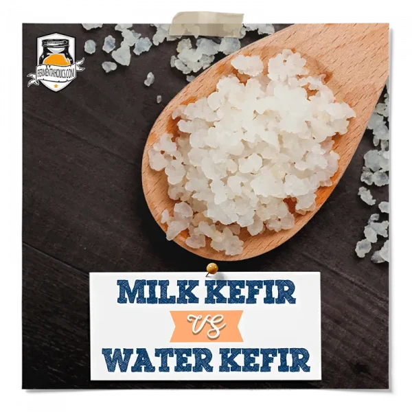 Milk Kefir Vs Water Kefir
