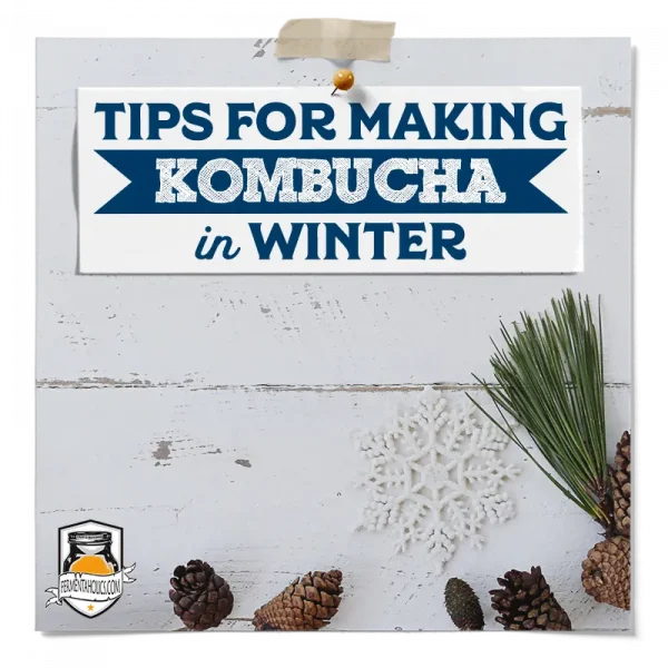 Tips For Making Kombucha In Winter