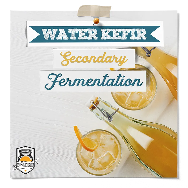 Water Kefir Secondary Fermentation