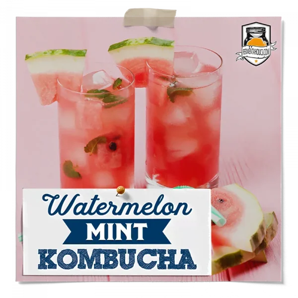 Watermelon Mint Kombucha