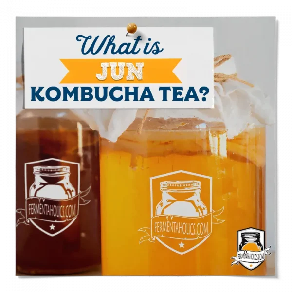 What Is Jun Kombucha Tea