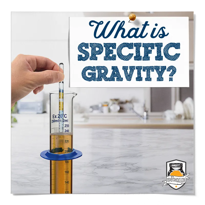What is Specific Gravity
