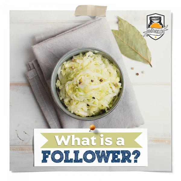 What Is A Follower