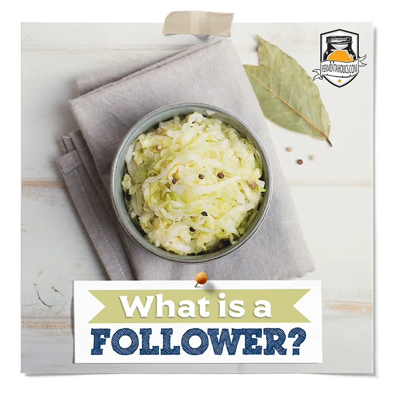 What is a Follower