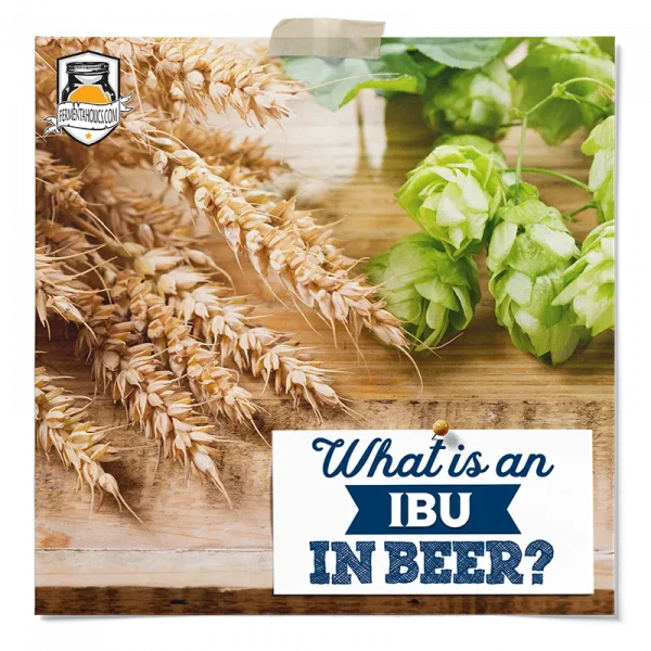 What Is An Ibu In Beer