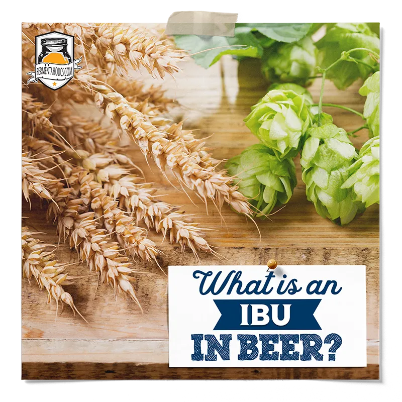 What is an IBU in Beer