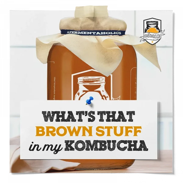 Whats That Brown Stuff In My Kombucha